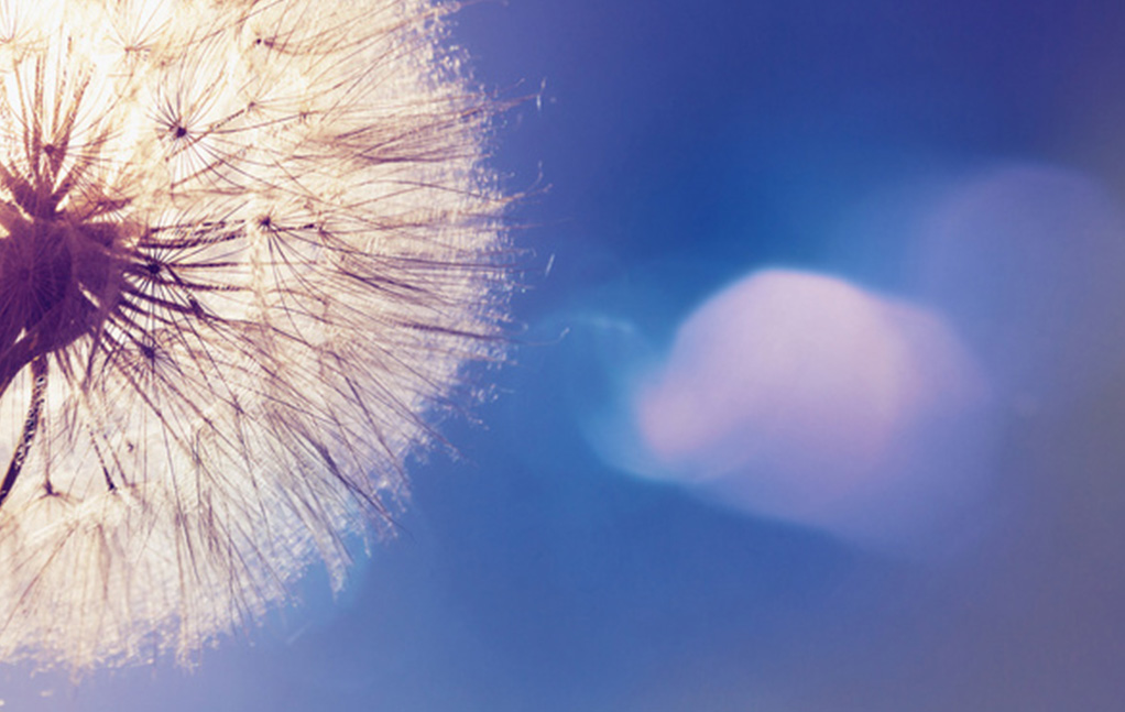 创世红海|官方下载