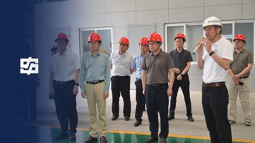 创世红海|官方下载